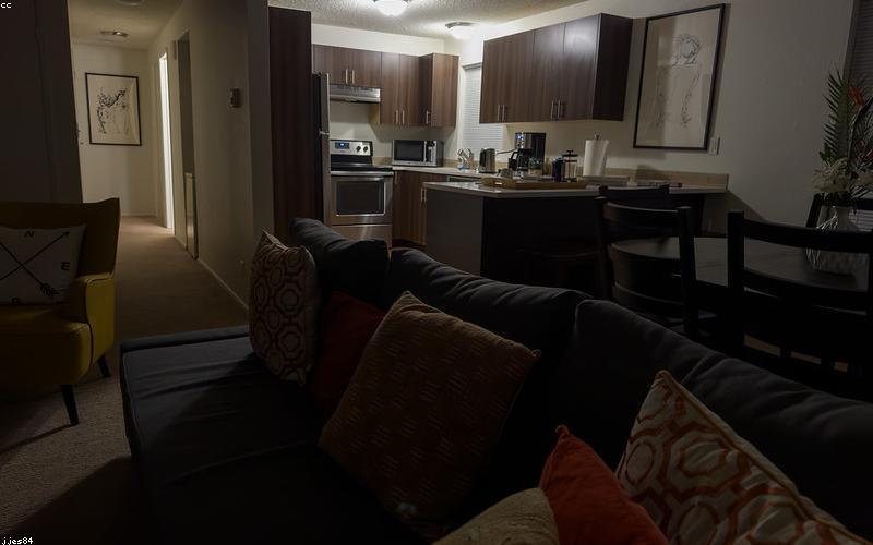 The Rise of Cozy Games as a Major Genre