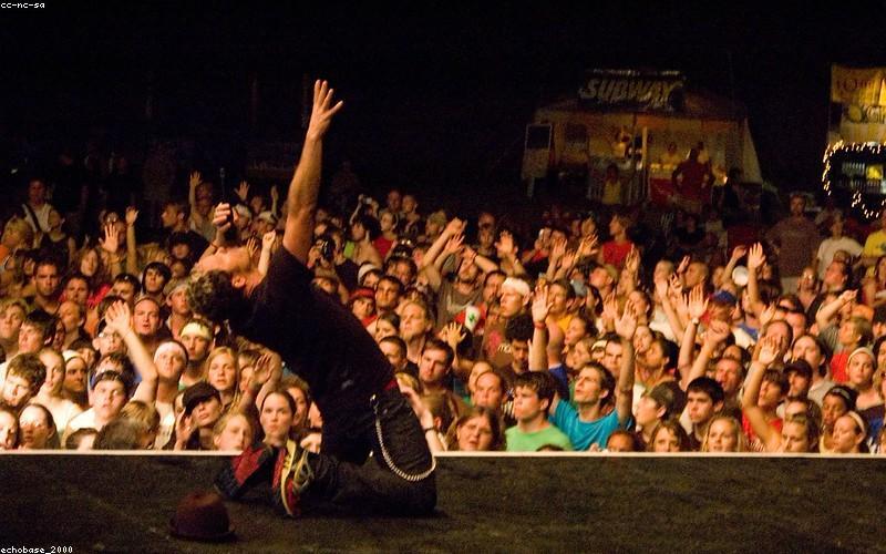 What's Your Concert Superfan Style?