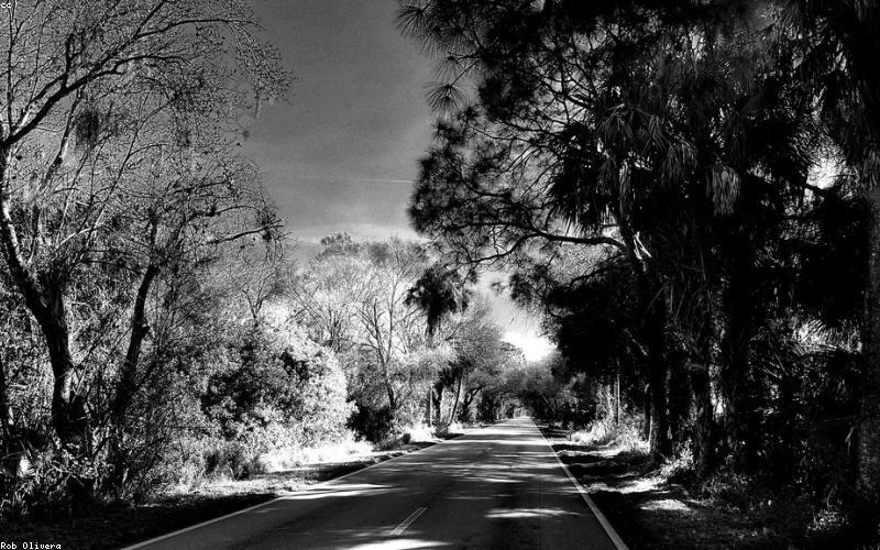 What's Your Perfect Road Trip Playlist?