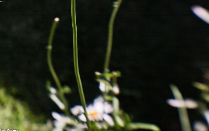 Are You a Highly Sensitive Person (HSP) Personality?