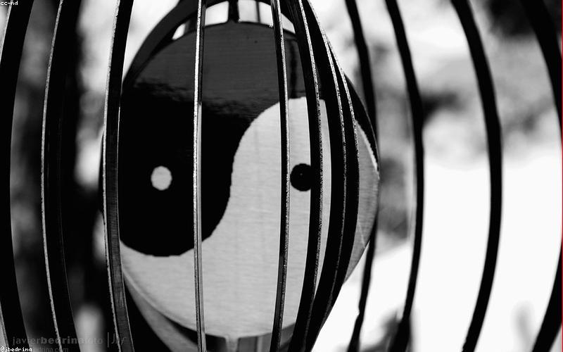 How to Meditate for Self-Discovery