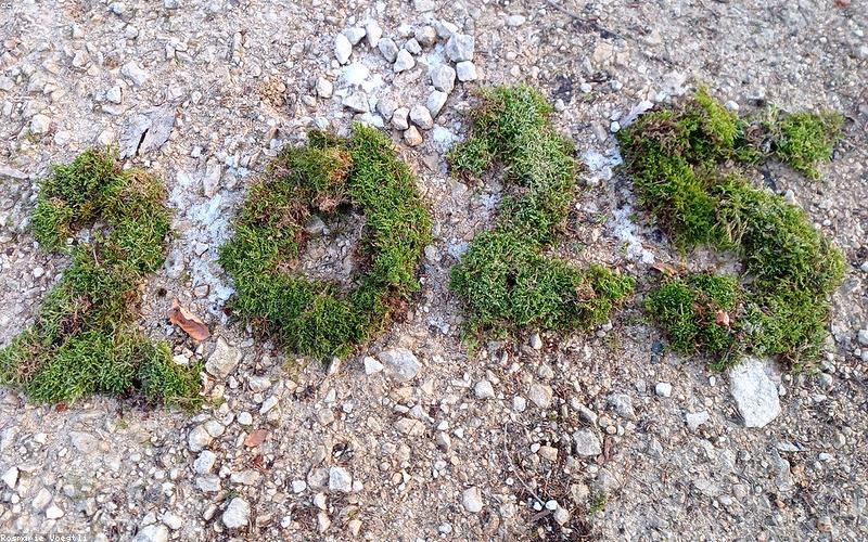 Numerology History Trivia: From Pythagoras to Modern Life Paths