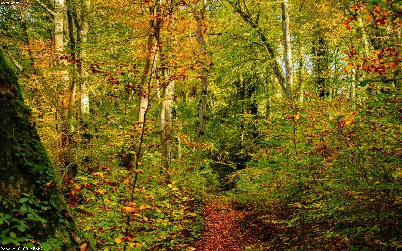 Which Season Matches Your Soul?
